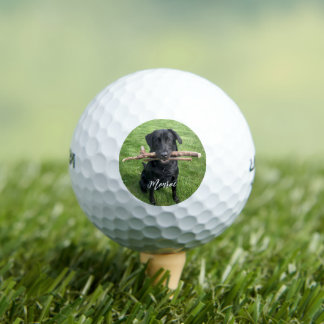 Black Lab with two sticks Dog Personalised Golf Balls