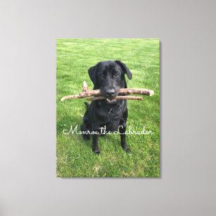 Black Lab with two sticks Dog Photo and Name Canvas Print