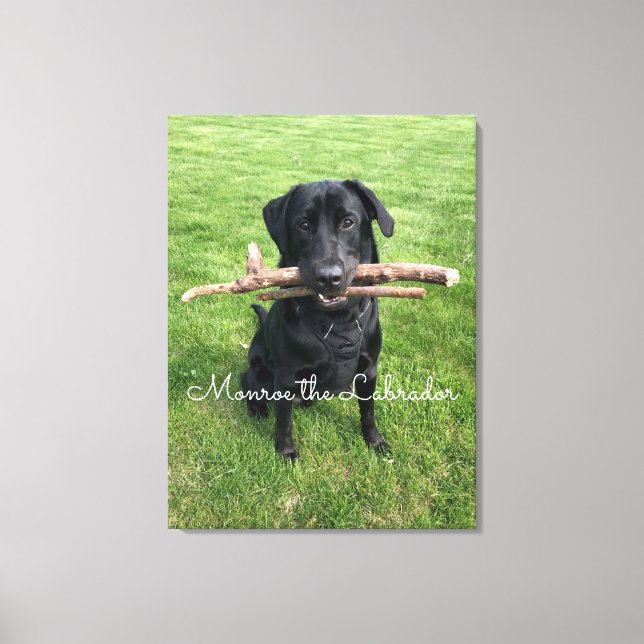 Black Lab with two sticks Dog Photo and Name Canvas Print (Front)
