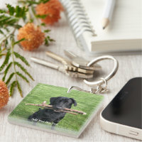 Black Lab with two sticks Dog Photo and Name