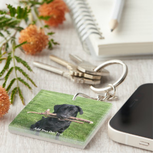 Black Lab with two sticks Dog Photo and Name Key Ring