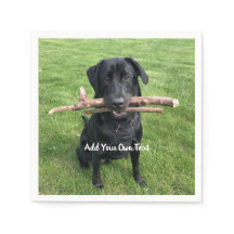 Black Lab with two sticks Dog Photo and Name