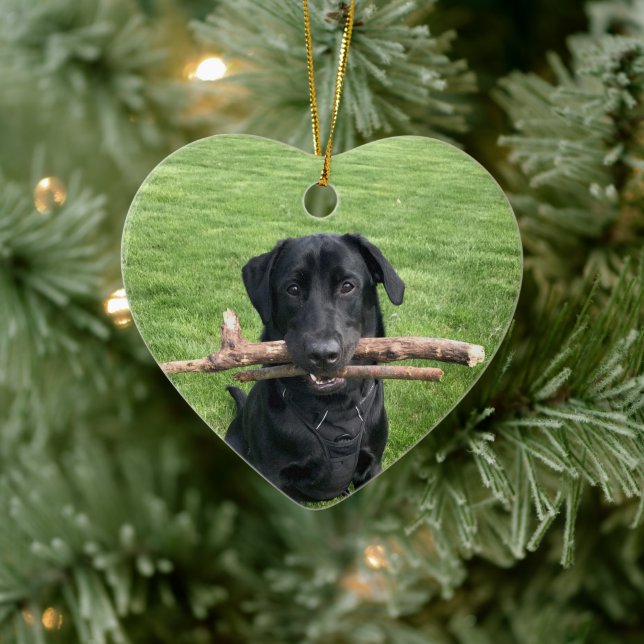 Black Lab with two sticks Dog Photo Ceramic Tree Decoration (Tree)