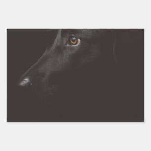 black lab wrapping paper sheet