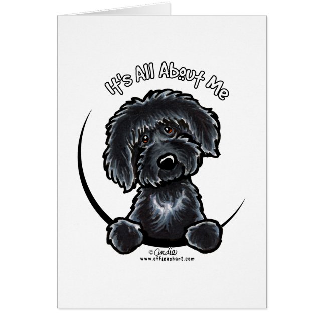 Black Labradoodle IAAM Simple (Front)