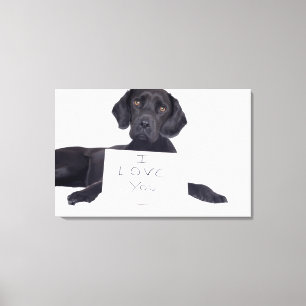 Black Labrador 13 Months Canvas Print
