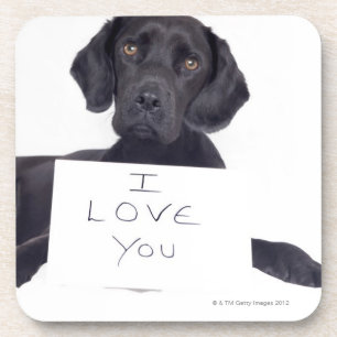Black Labrador 13 Months Coaster