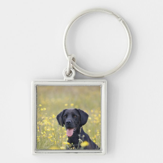 Black labrador 16 Months Key Ring (Front)