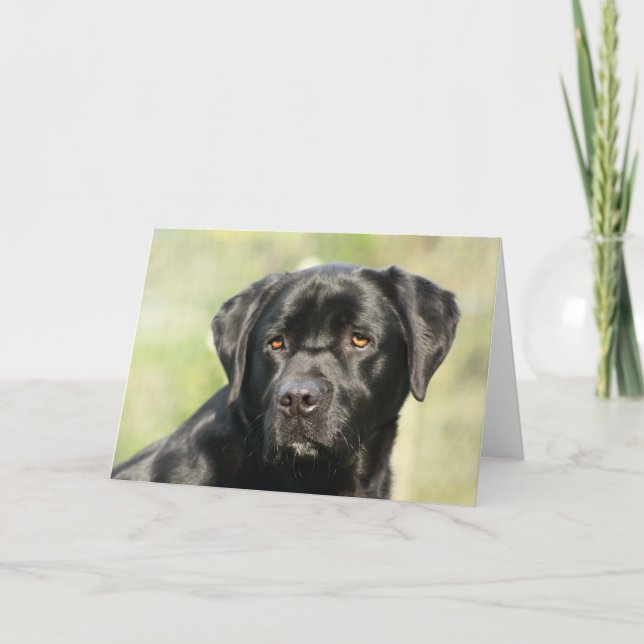 Black Labrador Birthday Card (Front)