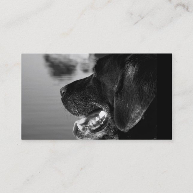 BLACK LABRADOR - Business Card Template (Front)