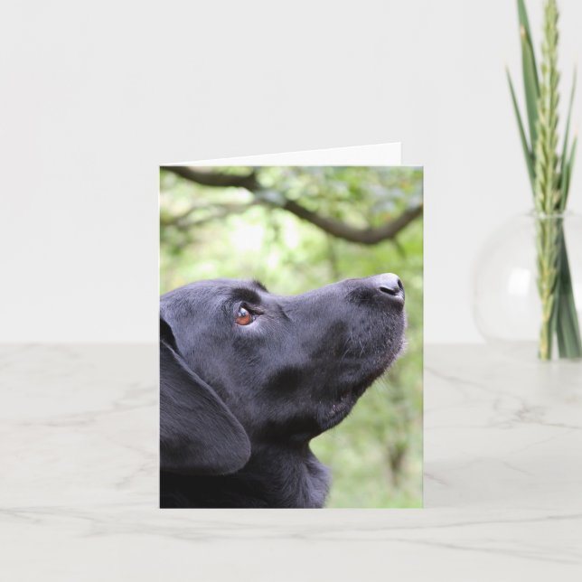 Black Labrador Card (Front)