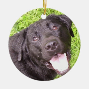Black Labrador Ceramic Tree Decoration
