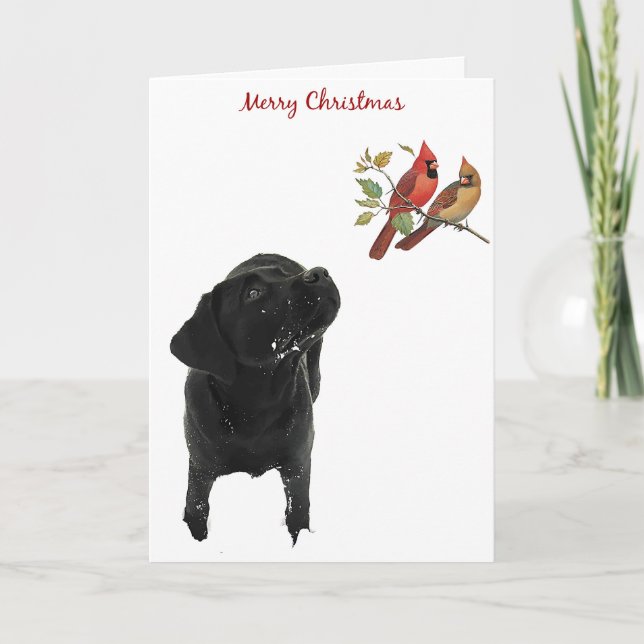 Black Labrador Christmas Card (Front)
