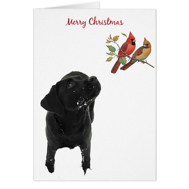 Black Labrador Christmas Card (Front)