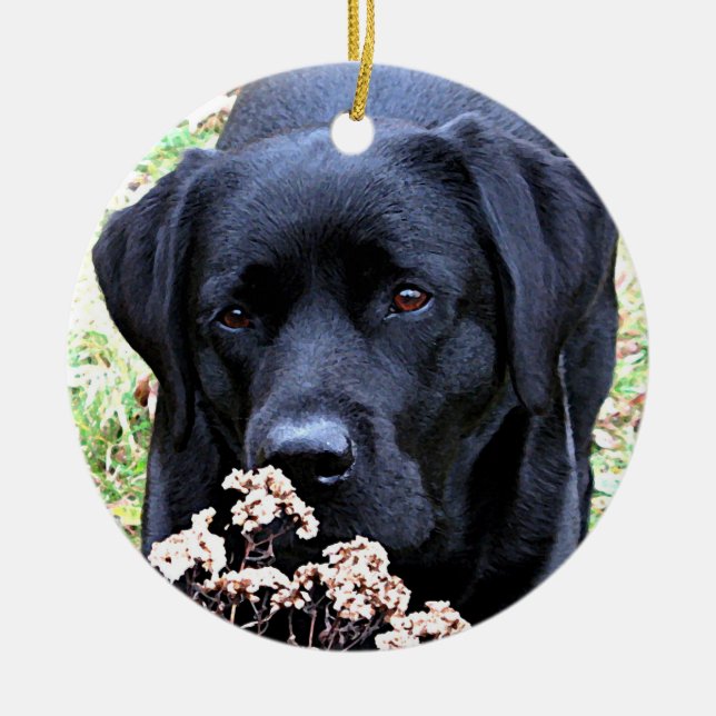 Black Labrador Christmas Ornament (Front)
