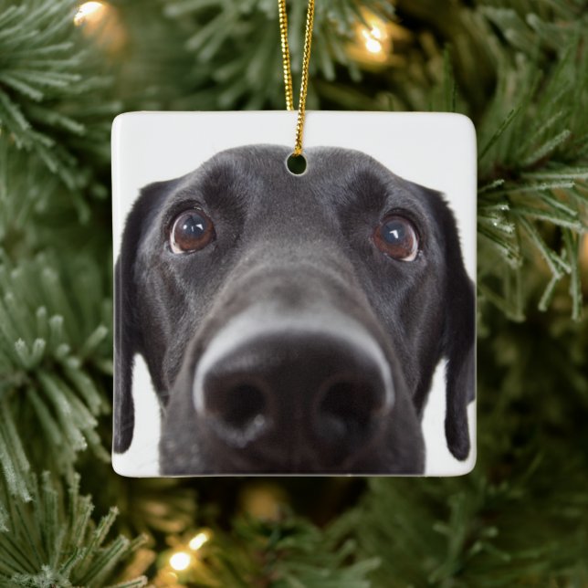 Black Labrador Closeup Portrait Ceramic Ornament (Tree)
