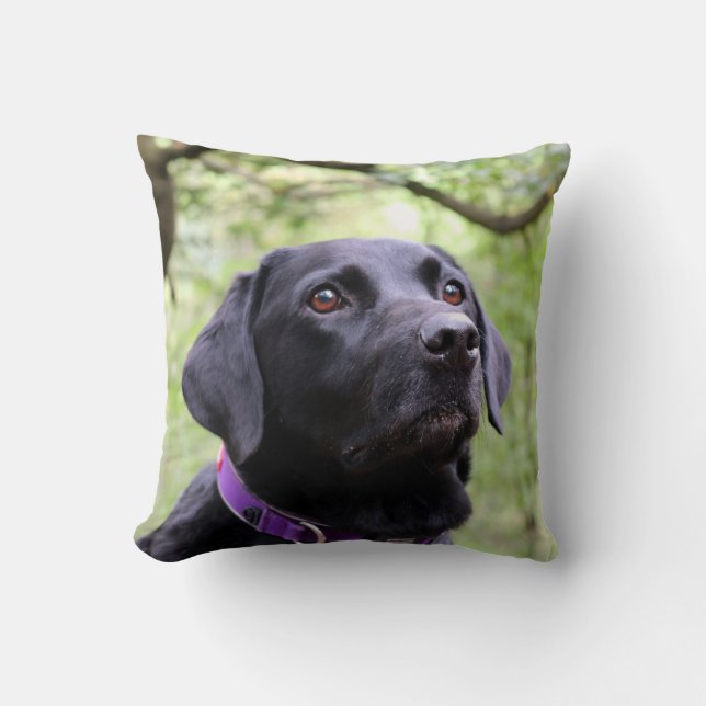 Black Labrador Cushion (Front)