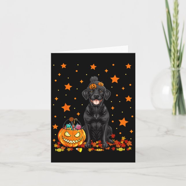 Black Labrador Dog And Pumpkin Candy Funny Card (Front)
