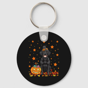 Black Labrador Dog And Pumpkin Candy Funny Key Ring