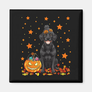 Black Labrador Dog And Pumpkin Candy Funny Magnet
