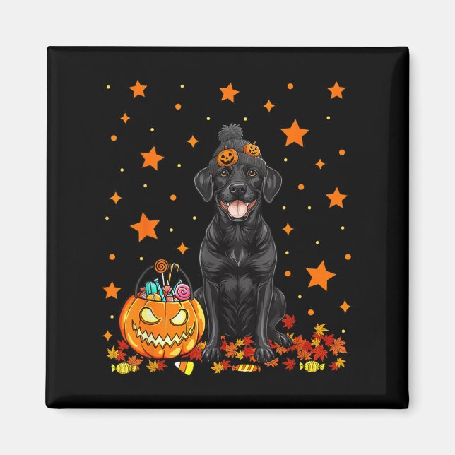 Black Labrador Dog And Pumpkin Candy Funny Magnet (Front)