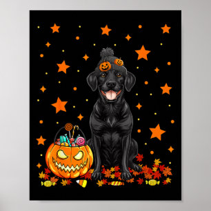 Black Labrador Dog And Pumpkin Candy Funny Poster
