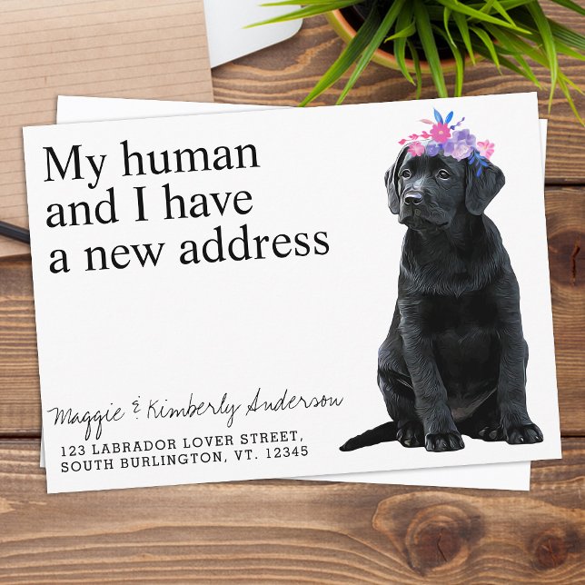 Black Labrador Dog Moving Announcement (Creator Uploaded)