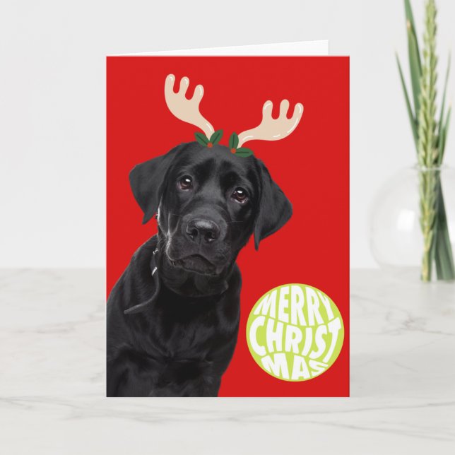 Black Labrador Dog PetCristmas Tennis Ball Funny Holiday Card (Front)