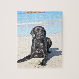 Black Labrador Dog sitting on the Beach Jigsaw Puzzle