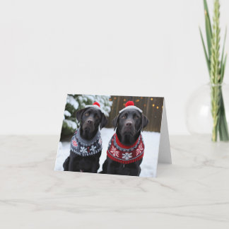 Black Labrador Dogs Christmas Card