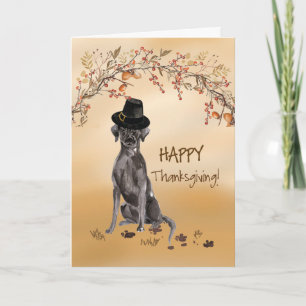 Black Labrador Funny Pilgrim Hat Thanksgiving Card