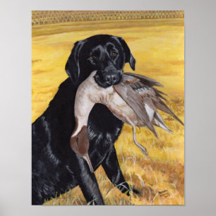 Black Labrador Hunting Dog Poster