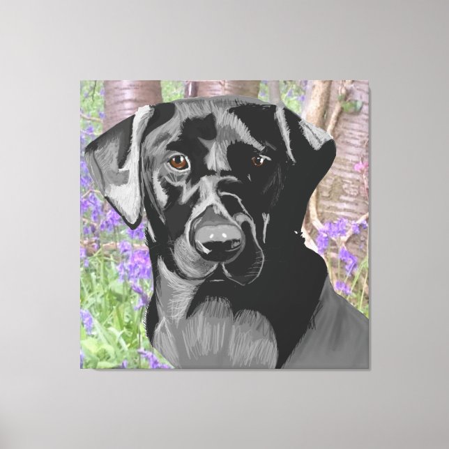 Black Labrador in a Bluebell Wood Canvas Print (Front)