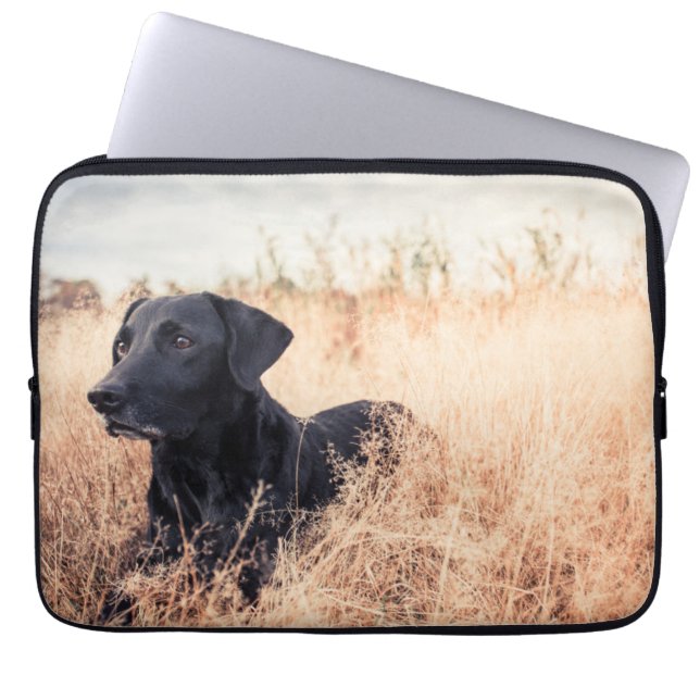 Black Labrador In Dry Grass Laptop Sleeve (Front)