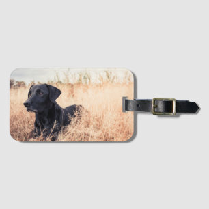 Black Labrador In Dry Grass Luggage Tag