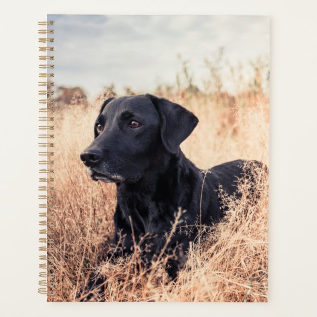 Black Labrador In Dry Grass Planner (Front)