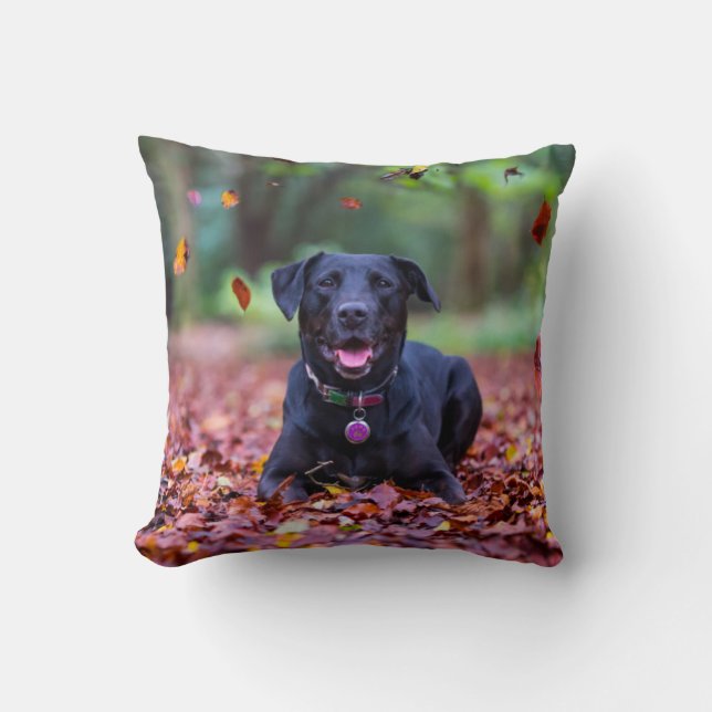 Black Labrador In Fall Leaves Cushion (Front)