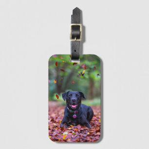Black Labrador In Fall Leaves Luggage Tag