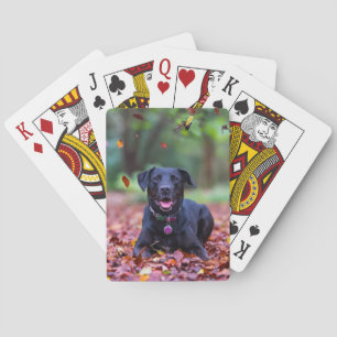 Black Labrador In Fall Leaves Playing Cards