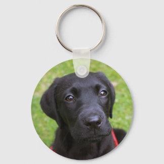 Black Labrador Key Ring