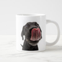 Black Labrador Licking Its Nose