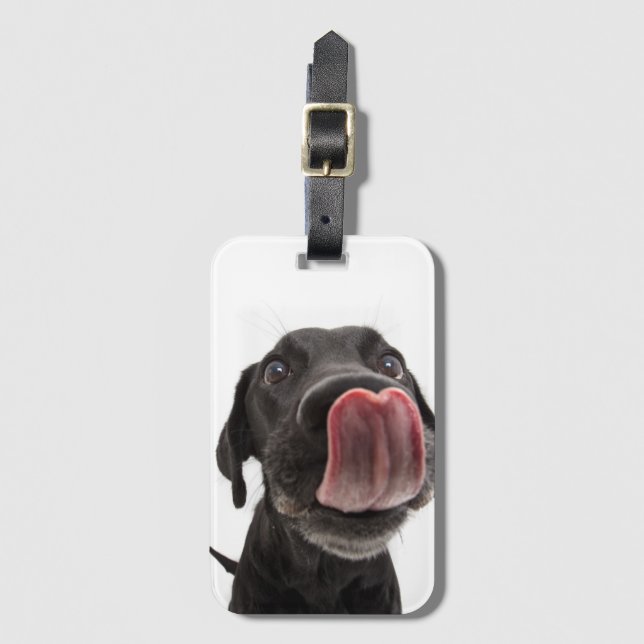 Black Labrador Licking Its Nose Luggage Tag (Front Vertical)