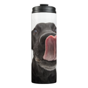 Black Labrador Licking Its Nose Thermal Tumbler