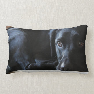 Black Labrador Lumbar Cushion