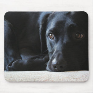 Black Labrador Mouse Pad