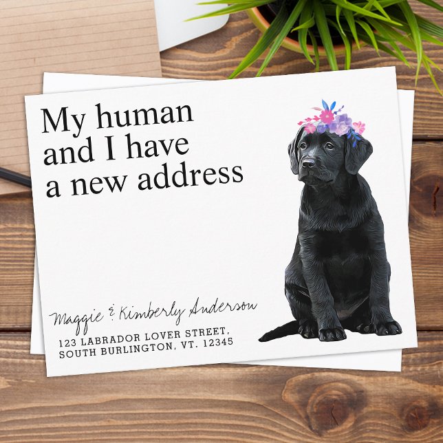 Black Labrador New Address Dog Moving Announcement Postcard (Creator Uploaded)