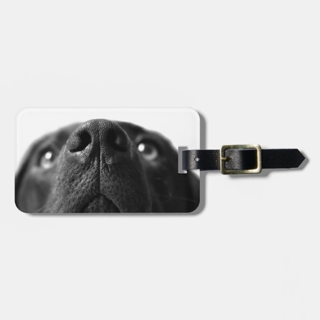 Black Labrador nose up close Luggage Tag (Front Horizontal)