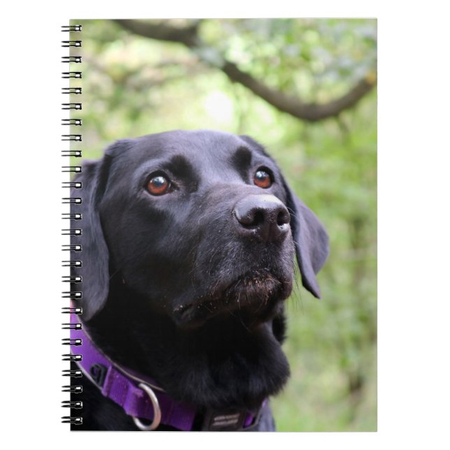 Black Labrador Notebook (Front)