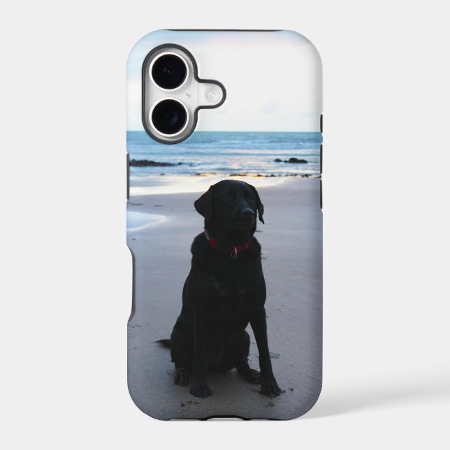 Black Labrador on a beach (Back)