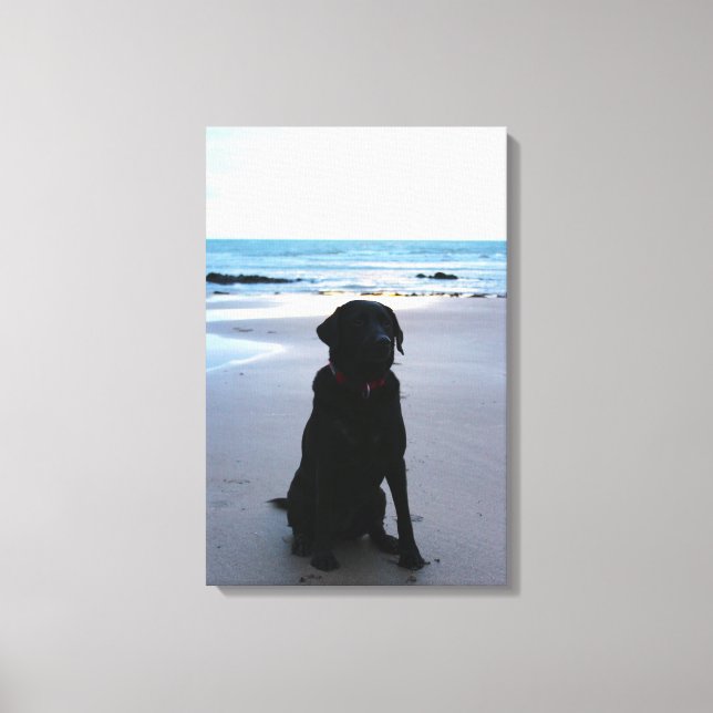 Black Labrador on a beach Canvas Print (Front)